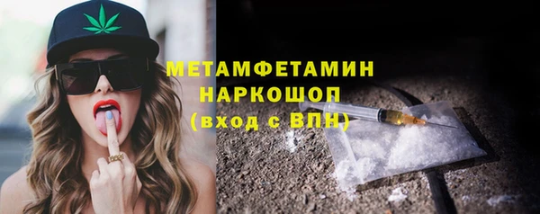 индика Зеленокумск