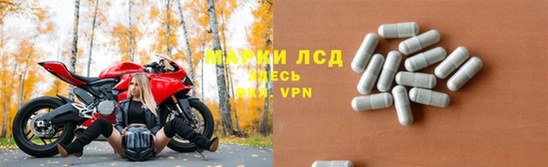 индика Зеленокумск