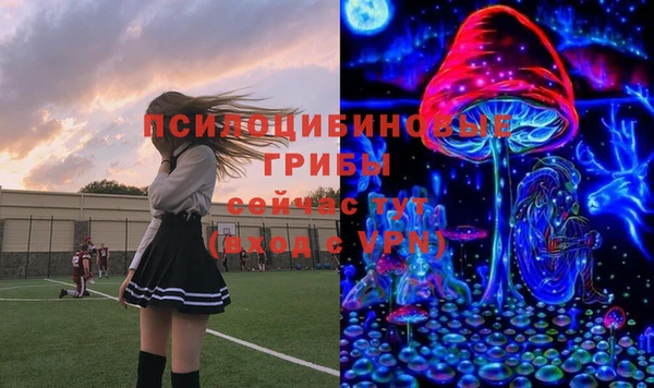 индика Зеленокумск