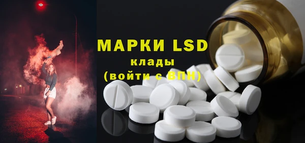 индика Зеленокумск