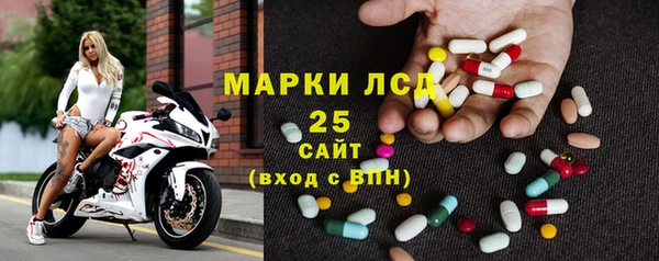 индика Зеленокумск